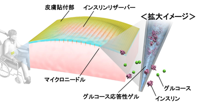 図：開発製品のイメージ